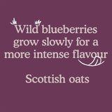 Little Freddie Strawberries Blueberries & Oats Organic Pouch 6 mths+   100g GOODS M&S   