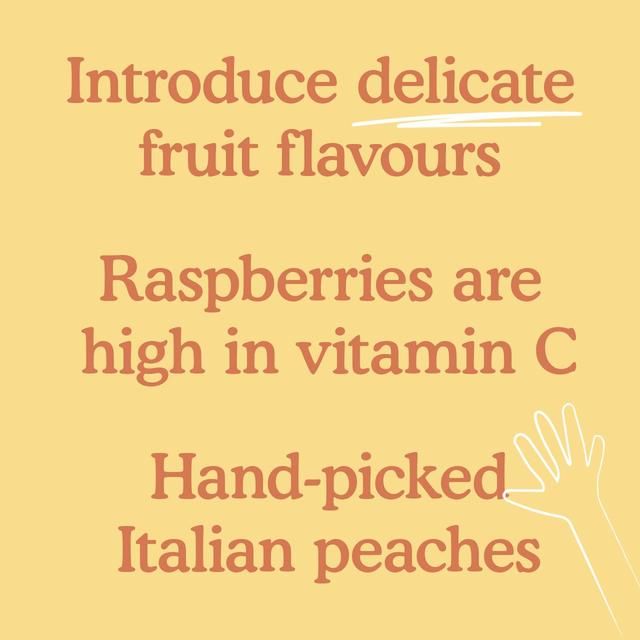 Little Freddie Peaches & Raspberries Pouch 6 mths+   100g GOODS M&S   