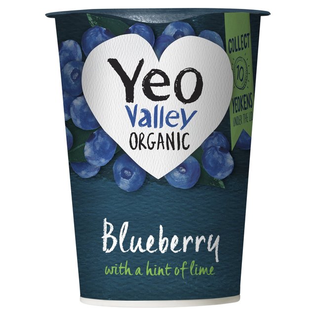 Yeo Valley Organic Blueberry Yoghurt with a Hint of Lime    450g