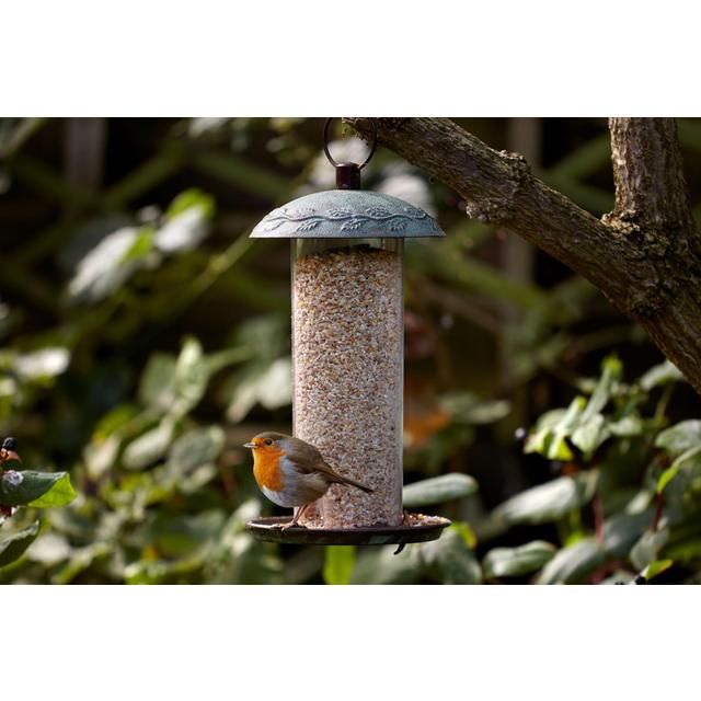 Peckish Secret Garden Seed Feeder GOODS M&S   