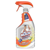 Mr Muscle Platinum Antibacterial Kitchen Spray Citrus   750ml GOODS M&S   