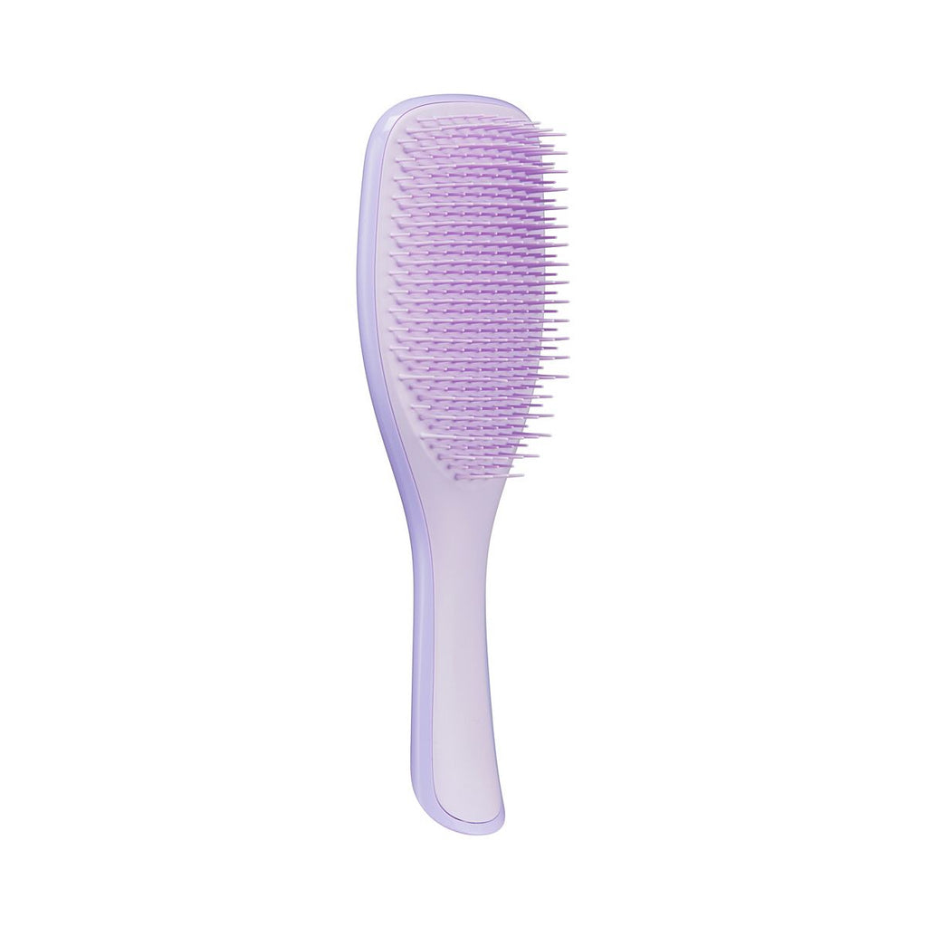 Tangle Teezer Wet Detangler Fine & Fragile Hairbrush Hypnotic Heather