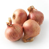 Natoora Roscoff Onions from Brittany
