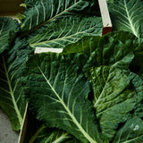 Biona Organic Five Bean Salad in Vinaigrette