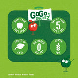 GoGo squeeZ Fruit Smoothie Snack Apple