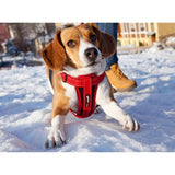 EzyDog Chest Plate Red Dog Harness Large