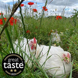 Packington Free Range Chicken Wings