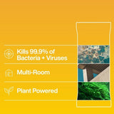 INEOS Antibac Multi-Room Wipes Sicilian Lemon + Cypress