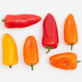 Simple Repair+ 11% Bio-lipid + Ceramide Serum