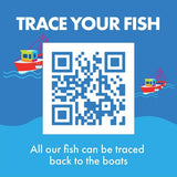 Fish 4 Ever Azores Skipjack Tuna Flakes in Spring Water