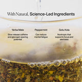 MISSION Focus Yerba Mate Tea Bags with Peppermint  Liquorice