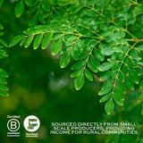 Aduna Moringa Organic Superfood Powder