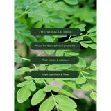 Aduna Moringa Organic Superfood Powder