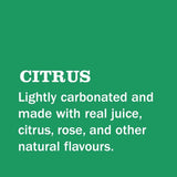Gin  Juice Citrus Can