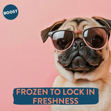 BOOST Pet Beef with Superfoods Meal for Dogs