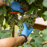 Mazzetti Prosecco White Wine Vinegar