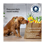 Pedigree Dentastix Fresh Adult Large Dog Treats 21 x Dental Sticks