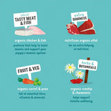 Edgard & Cooper Puppy Grain Free Wet Dog Food with Organic Chicken & Fish