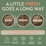 BOOST Pet Beef with Superfoods Meal for Dogs