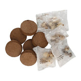 M&S Avenue Bulb Planter