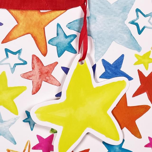 Painted Stars Large Gift Bag GOODS M&S   