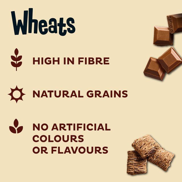 Kellogg's Choco Wheats Cereal   480g