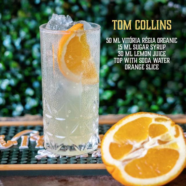 Vitoria Regia Organic Gin   70cl GOODS M&S   