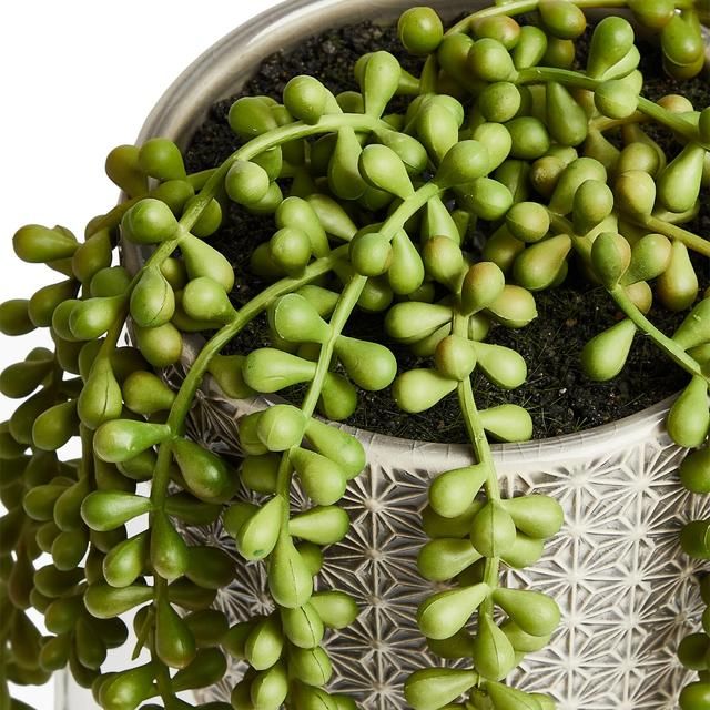 M&S Artificial String of Pearls in Ceramic Pot 16X38.1cm