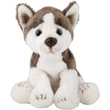 Suki Yomiko Classics Plush Small Siberian Husky 13cm GOODS Superdrug   