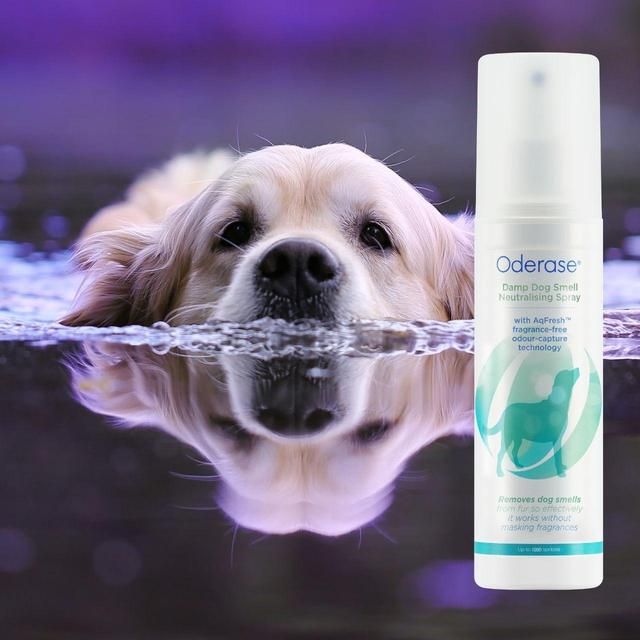 Oderase Damp Dog Smell Neutralising Spray   200ml