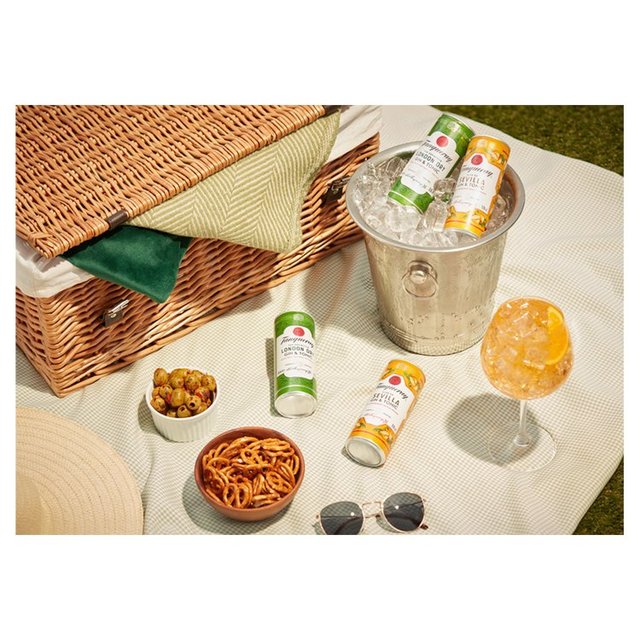 Tanqueray Flor De Sevilla Gin & Tonic Ready to Drink Can   250ml GOODS M&S   