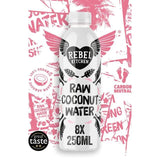 Rebel Kitchen Raw Organic Coconut Water Multipack   8 x 250ml GOODS M&S   