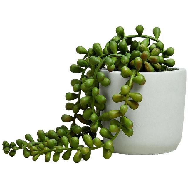 M&S Artificial Mini String of Pearls in Pot Green GOODS M&S   