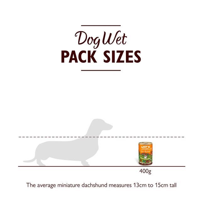 Lily's Kitchen Lean Machine Tin for Dogs   400g GOODS M&S   