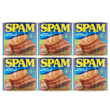 SPAM, 6 x 340g GOODS Costco UK