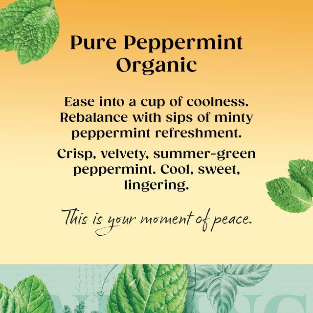 Twinings Organic Peppermint Tea   20 per pack GOODS M&S   