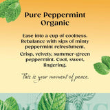 Twinings Organic Peppermint Tea   20 per pack GOODS M&S   