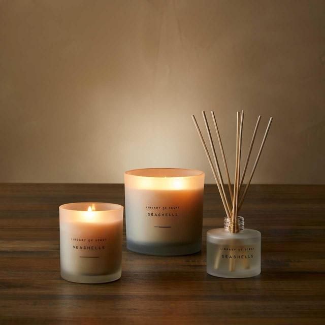 M&S Seashells Candle GOODS M&S   