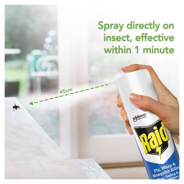 Raid Plant Based Fly Wasp & Mosquito Killer Aerosol Spray   300ml GOODS M&S   