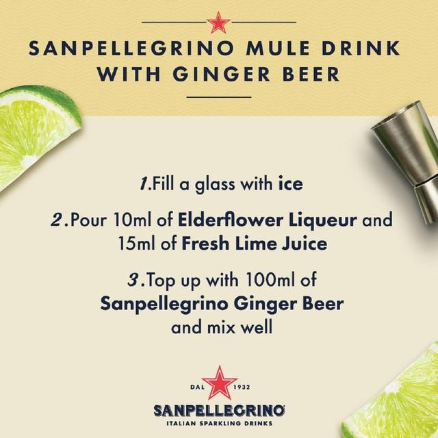 San Pellegrino Ginger Beer Glass   4 x 200ml