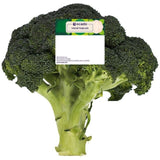 Ocado Broccoli   350g GOODS M&S   