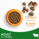 IAMS Adult Dry Cat Food Lamb   3kg