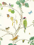 Sanderson Woodland Chorus Wallpaper