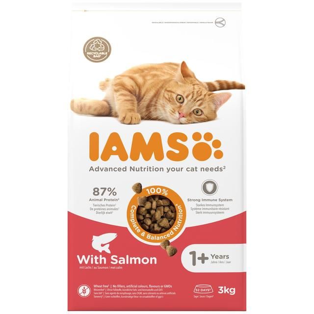 IAMS Adult Dry Cat Food Salmon   3kg