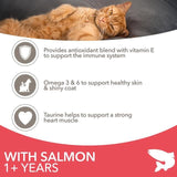 IAMS Adult Dry Cat Food Salmon   3kg