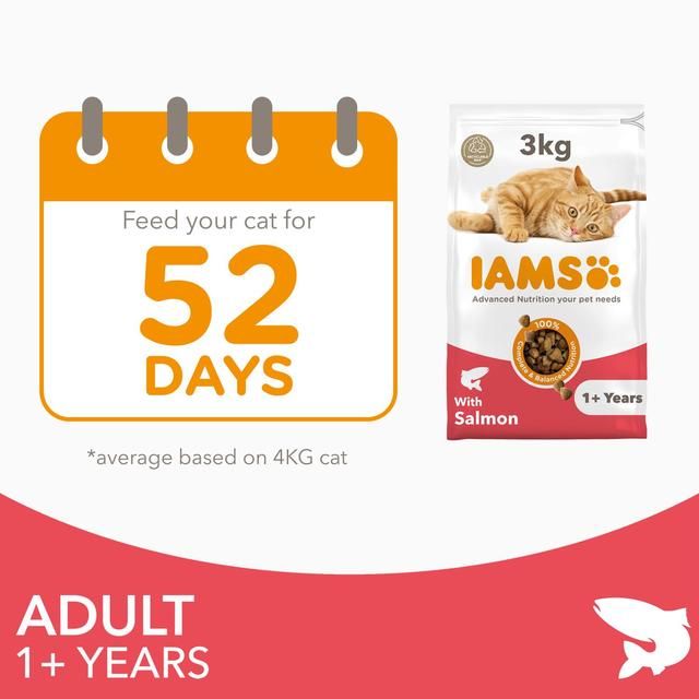 IAMS Adult Dry Cat Food Salmon   3kg