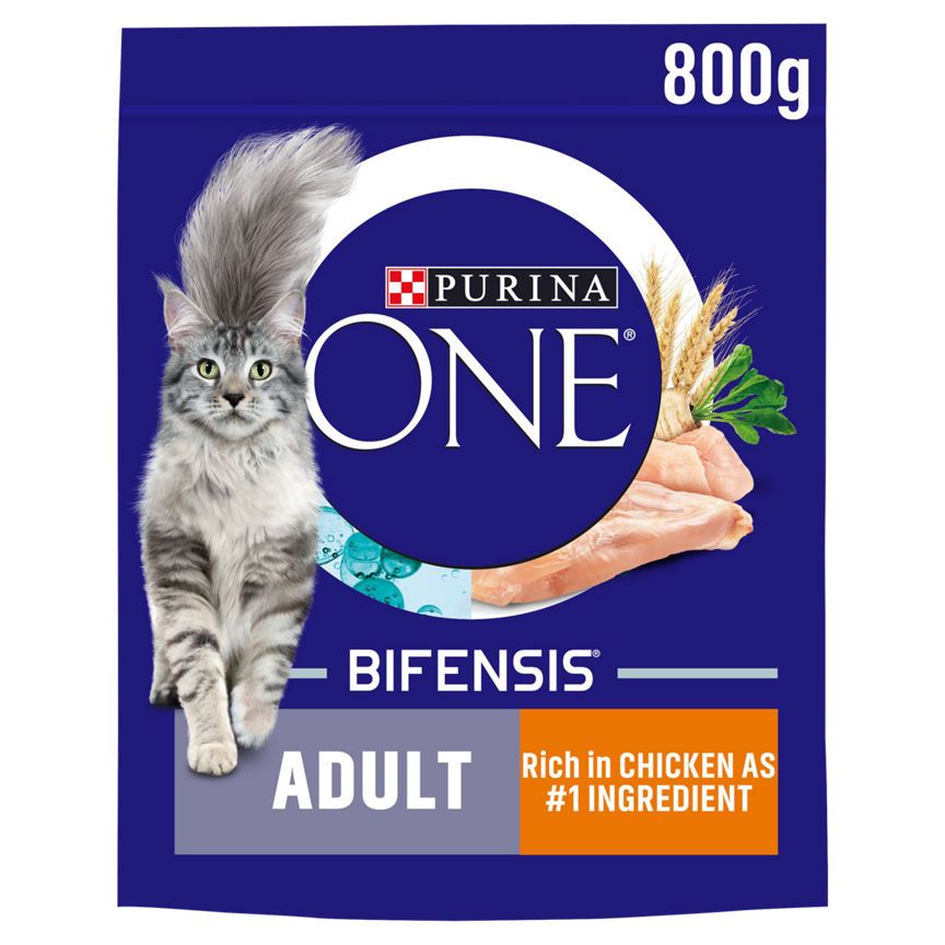 Purina ONE Adult Dry Cat Food Chicken and Wholegrains