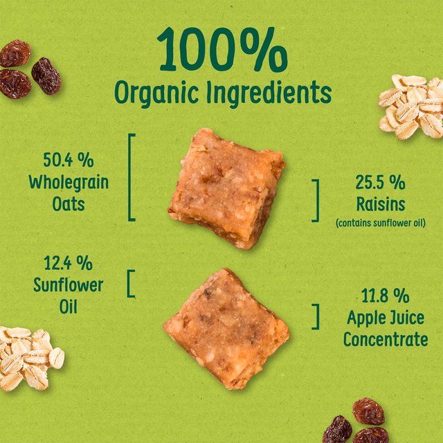 Organix Mini Organic Oat & Raisin Flapjack Toddler Snacks Multipack   4 x 20g