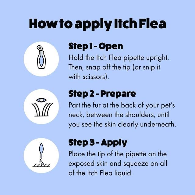 Itch Flea XL Dog Spot-On Flea & Tick treatment (40kg+)