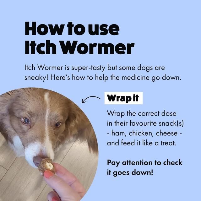 Itch Wormer Tablets For XL Dogs (20kg+)   2 per pack